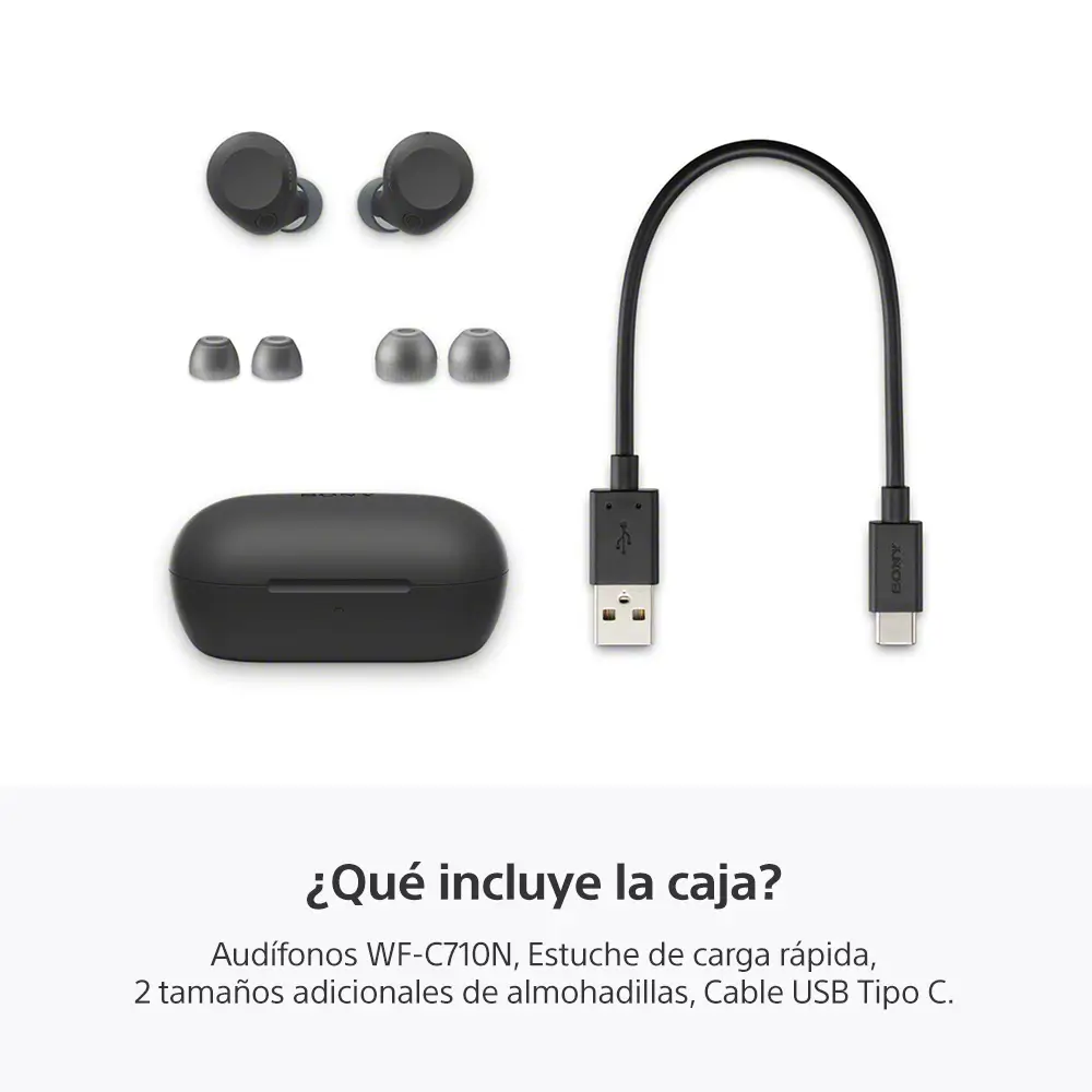 Miniatura 11