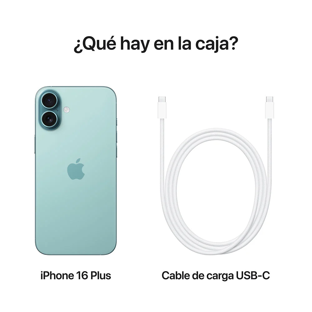 Miniatura 10