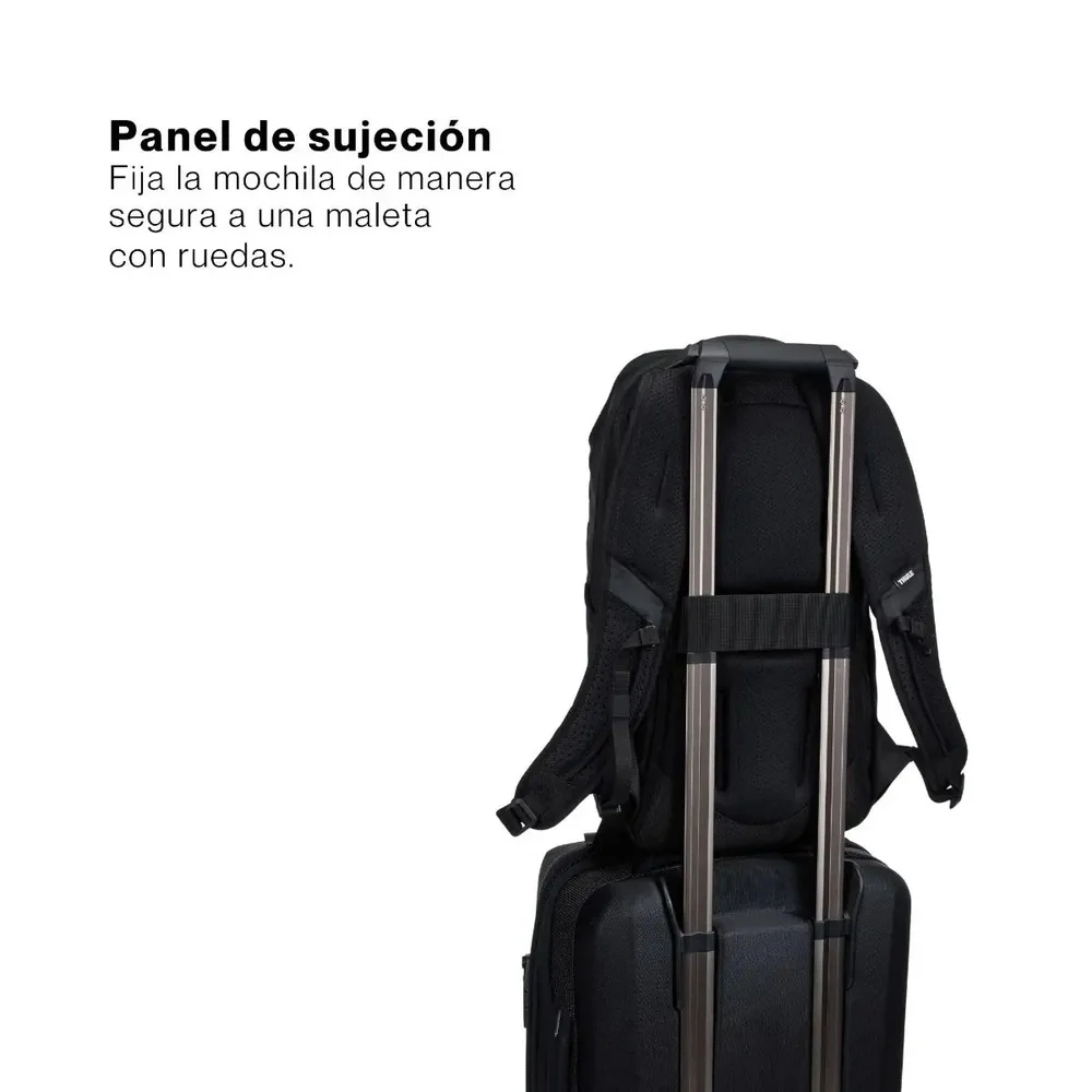 Miniatura 13