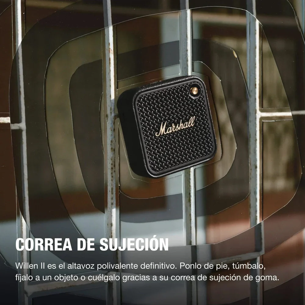 Miniatura 10